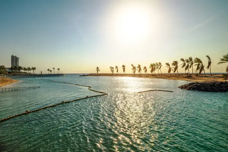 Saudi Arabia Luxury Odyssey: From Riyadh to the Red Sea